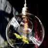 Rowan Pendant Lamp 15cm Clear Rowan Pendant Lamp 15cm Clear