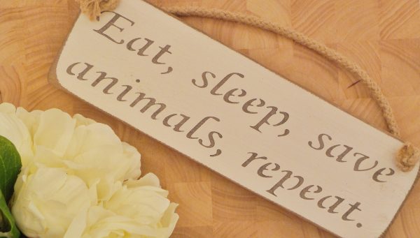 Small Plaque – ‘Eat, sleep, save animals, repeat.’