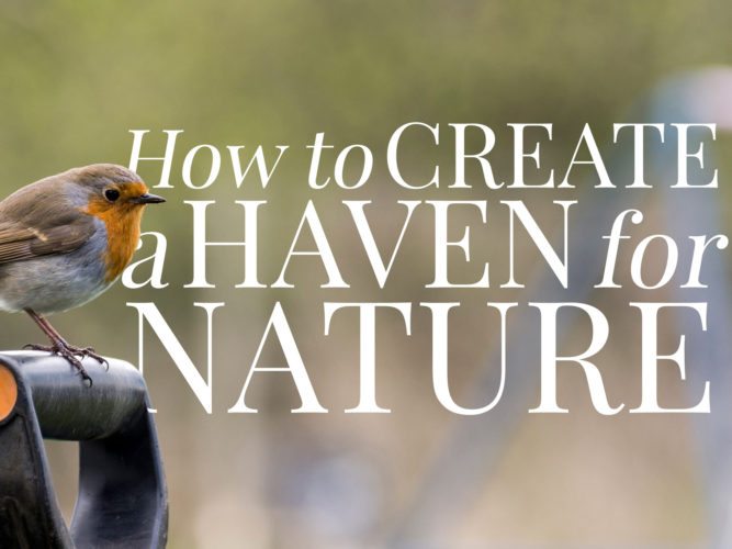 Haven For Nature Resized