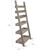 Aldsworth Shelf Ladder Wide