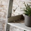 Aldsworth Shelf Ladder Wide