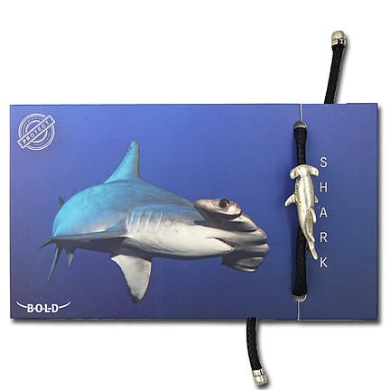 B-O-L-D Hammer Shark Bracelet