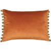 Fiesta Rust Cushion