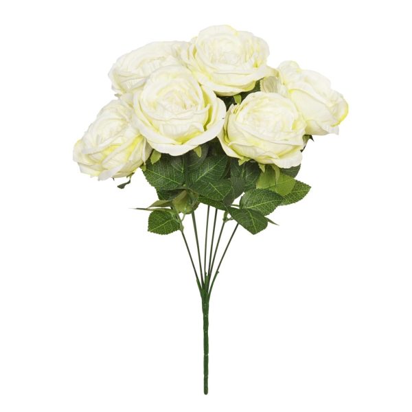 48cm Cream Garden Rose