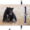 B-O-L-D Bear Bracelet