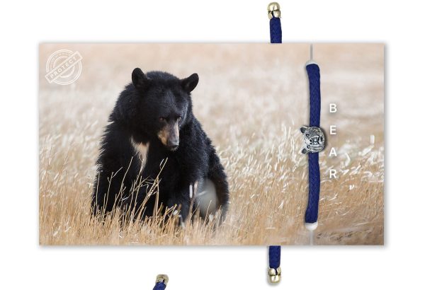 B-O-L-D Bear Bracelet
