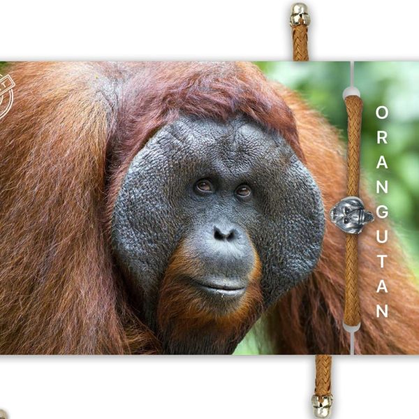 B-O-L-D Orangutan Bracelet