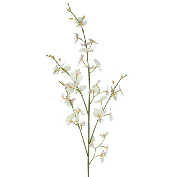 93cm Dancing Ladies Orchid