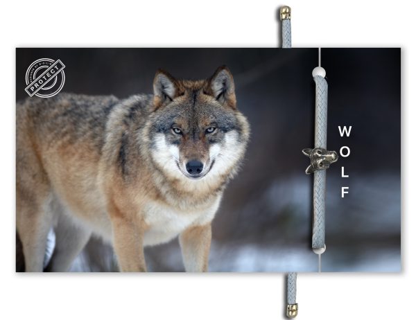 B-O-L-D Wolf Bracelet